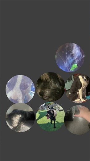 THE MOST CHARACTERS IN ONE UNIVERSE