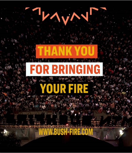 MTN Bushfire 2025 Festival: Unforgettable Moments