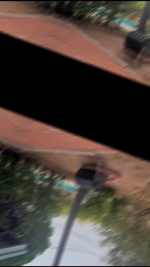 What would you do with a 20 ft tall dead palm tree trunk in your backyard if you were buying this house? #realtor #realestate #azrealestate #realestateagent #homeseller #homebuyer #homeshopping #homesearch #househunting #homemaintenance #deadtree #palmtrees #palmtree #treeremoval #backyard #landscape | Brandon Ingram - Realtor