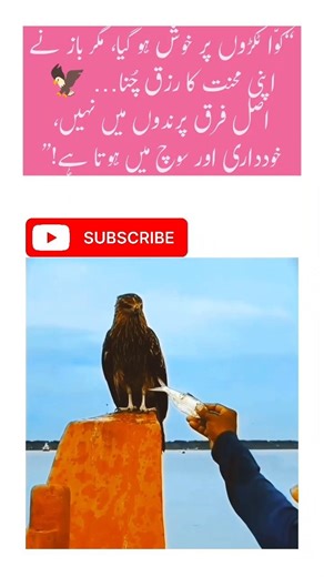 “Crow Took the Biscuit… Eagle Chose Self-Respect 🦅🔥”