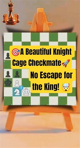 🎯A Beautiful Knight Cage Checkmate !! Brutal Trap! The King Has NO Escape! 🤯 #shorts #ytshorts