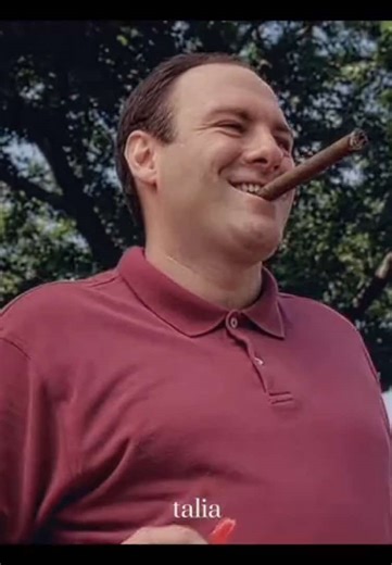 The Sopranos Nostalgia ❤️ || #thesopranos #thesopranosedit #tonysoprano #jamesgandolfini #aestheticedits cc: me