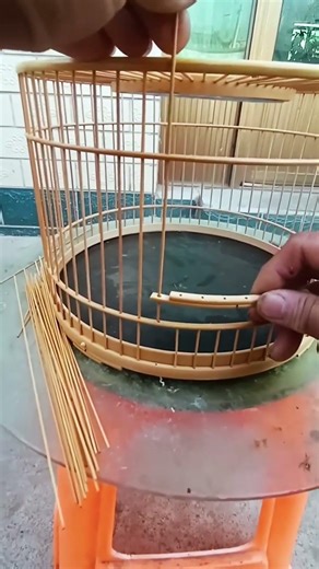 Making a bird cage from bamboo with traditional crafting technique