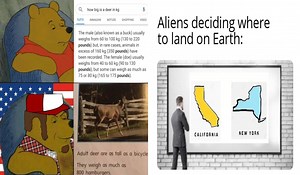 16 4th Of July Memes To Celebrate America's Birthday