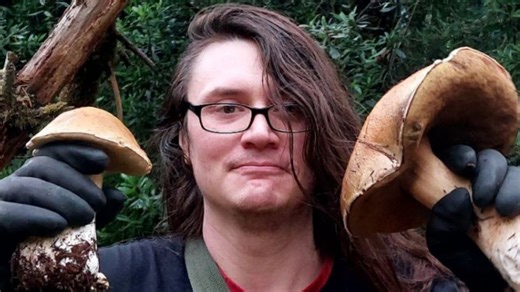 Pirate Software | Know Your Meme