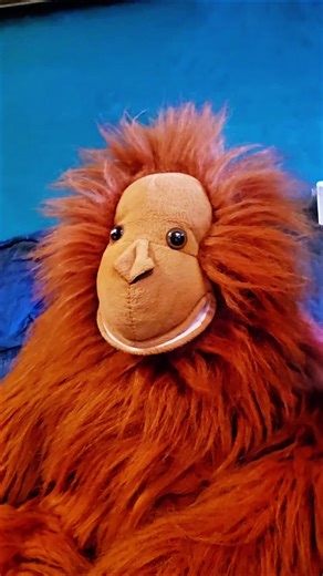 Funny Kinder Egg Puppet Jokes