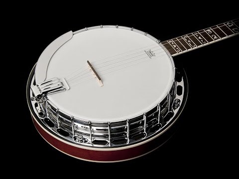Review: Washburn B16K‑D Banjo - Rich Tone, Classic Sunburst 5-String