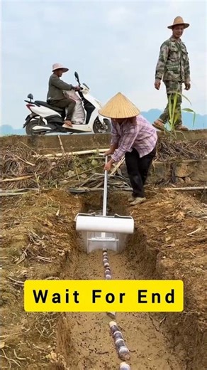 Sugarcane Farming ka Naya Trend! 😱 Munching Technology Dekho😱🫢#shortreverse99 #farming #shorts