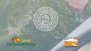 631 reactions · 498 shares | FISH. CATCH. WIN.  KDWP is having a fishing contest and you can be a winner!  Back for its second year, The Great Kansas Fishing Derby runs May 15 - Sept. 15, with more than 500 tagged fish in lakes across Kansas, and more than 500 prizes ready to be snagged. Participating is easy; fish, catch, and win! Learn more about The Great Kansas Fishing Derby and how to redeem a prize at ksfishderby.com. | Kansas Department of Wildlife & Parks | Facebook