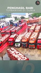 Negara Penghasil Babi Terbesar di Dunia | Jelajah Bumi