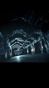 6.8K views · 31 reactions | . Alien vs Predator. AVP #fyp #intense | 34 Dodo | Facebook