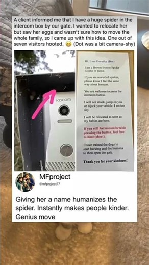 The spider is guarding the intercom box