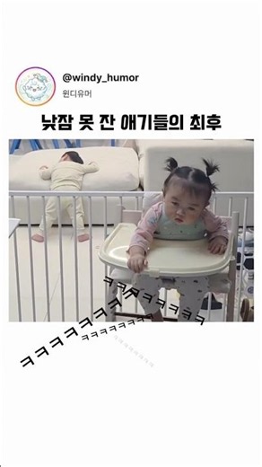 낮잠 안 잔 애기들의 최후