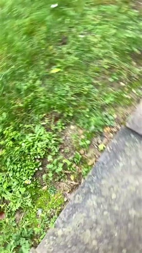 Touching grass ( dont worry i do touch grass btw)