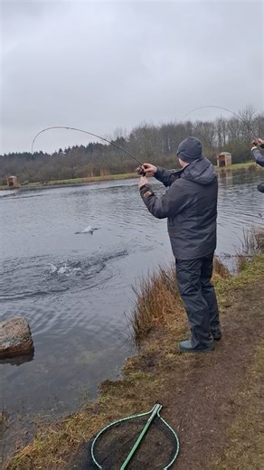 🎣Doublet🎣Trout Softbait🐛🪱🎣#Bora TympiBait Arrild-Fiskesee.dk Alpha Austria Vadym Fedorchuk | TympiBait