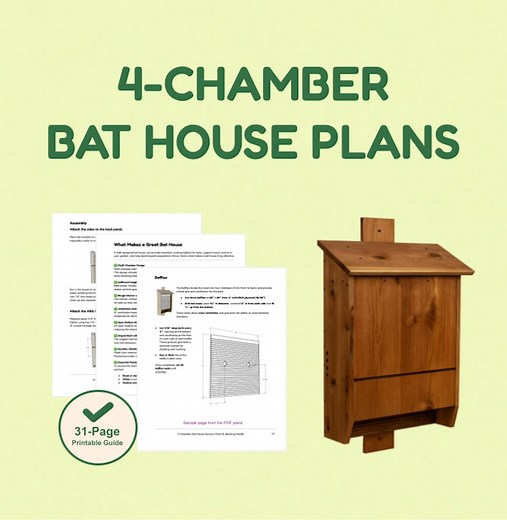 4-chamber Bat House | 31" Tall × 20" Wide | Proven Multi-chamber Design | PDF Plans - Etsy