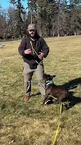 Her first friend humped her face 🖤🤣