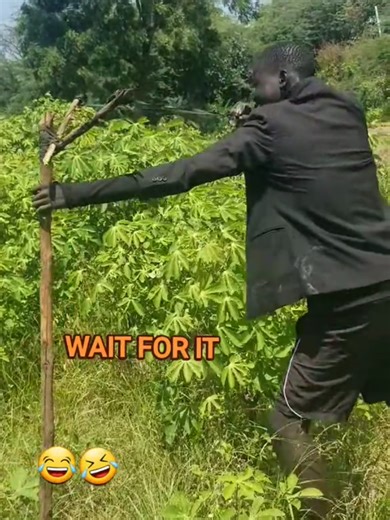 Hilarious Comedy Moments on TikTok You Can't Miss