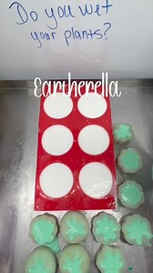 I wet my plants - succulent soaps are restocked and available now! Scented in Green Clover and Aloe. https://eartherella.com/collections/glycerin-soaps/products/i-wet-my-plants-succulent-soap-soap-bar-green-clover-aloe-5-5-oz | Eartherella Soap & Candle Co., LLC