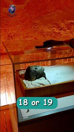 Viewing the Mummy Of King Tut #documentary #history #tomb #fact #tutankhamun #mummy