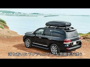 Terzoルーフボックス【ORCA（オルカ）】_ 2019