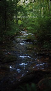 the sound of nature 🍃… | 📍Saarland / Germany 🇩🇪 | 📷 more forest vibes @giuliogroebert | #forest #river #germany #saarland | Giulio Groebert Photography