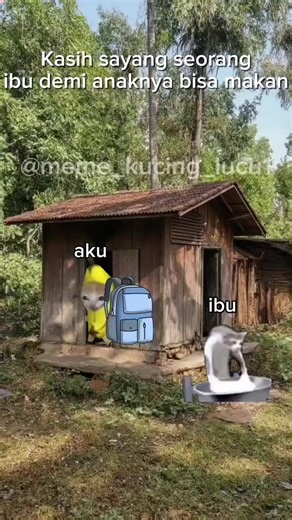 Video Kucing Lucu dan Meme Kucing Sedih