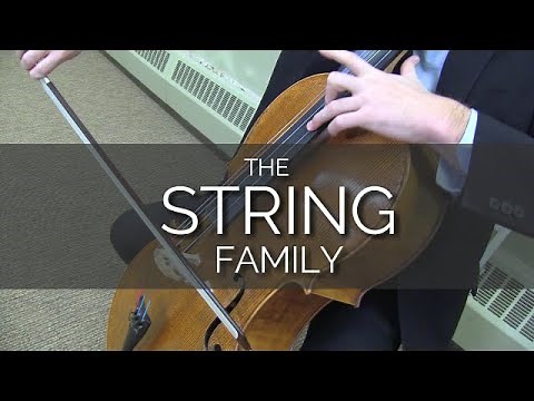 THE STRING FAMILY