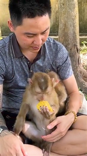 Happy to Have Their Rarely Observed Time with Father, Kaka and Mit #Kaka | Kaka Page