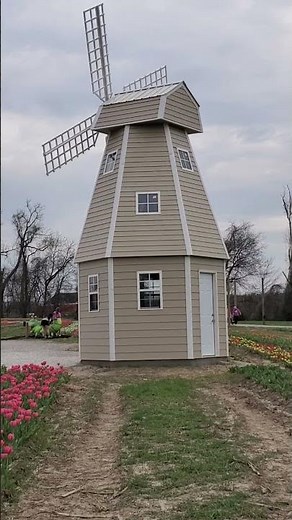 Eckert's Orchard - Tulip Trail