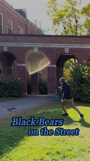 Exploring the University of Maine Campus with Gen Z Interns