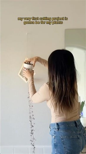 Everything I Made with My LASER #shorts #plants #lasercutting #diy #crafts #houseplants #xtool