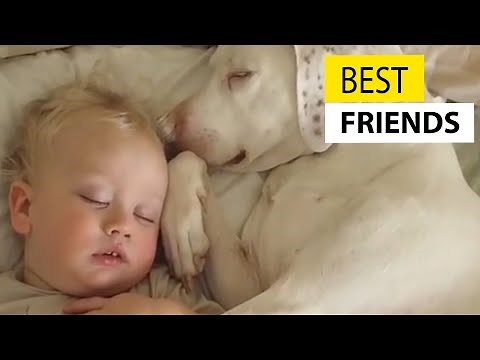 Cute Baby Playing With Dogs Compilation - Baby Pets Video || JukinVideo