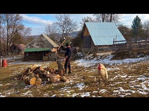 How do people live in remote Romanian villages? Life far from civilization!