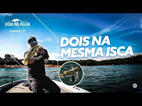 PASSION AND COMPETITION IN FISHING! Lorena and Cadu train for the Bassmaster in Três Marias