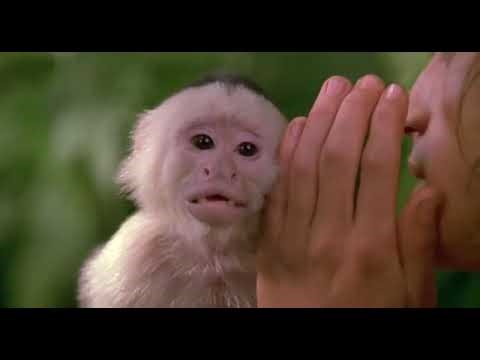 George Of The Jungle (1997) A Little Monkey Talk