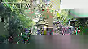 474K views · 8.7K reactions | Footage released by the Houston Zoo in Texas shows a squad of 54 Chilean flamingos making their way into the zoo's new South American Wetlands aviary. https://abcnews.visitlink.me/ton0qT | ABC News | Facebook