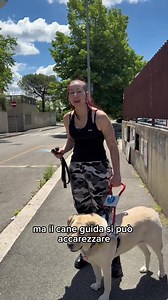 Ti piace il mio Cane Guida? Ma il Cane Guida si può accarezzare oppure no? Vi rispondo direttamente con questo video❤️ #strade #addestramento #Cane#Occhi#Disabilità