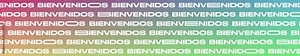 Bienvenidos Stretch Text Background Color Gradient Loop Video Mapping