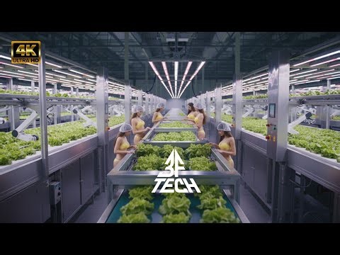 How Technology Grows Food Without Soil | Inside the Hydroponic Farming Industry