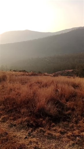 Videos de Jessica Arenas Frago (@jessicaarenasfrag) con “sonido original - Los Caligaris”