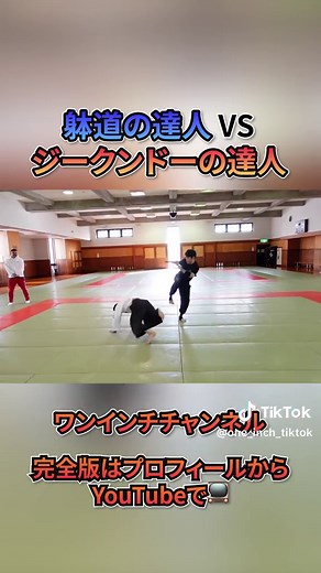 ジークンドーと躰道のマススパーリング