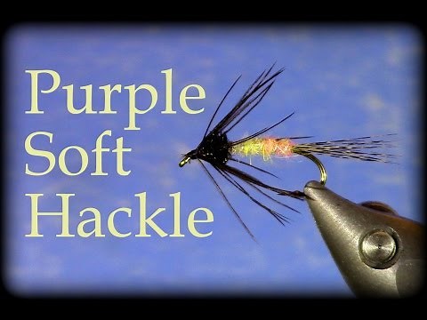 Fly Tying: Purple Soft Hackle (Isonychia / Slate Drake Emerger)