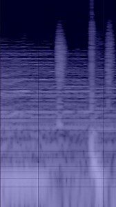 Dark R&B Type Beat – “Silk Lights” | Sound Visualizer 🌌 (Victoria Monét x H.E.R)