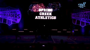 Spring Creek Athletics - Courage [2025 L3 Junior - D2 - Small - C Day 2] 2025 NCA All-Star National Championship