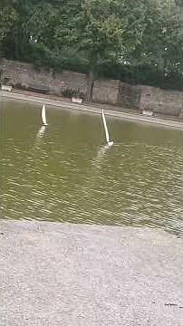 voilier RC dragon flite 95 v3