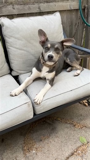 43K views · 2K reactions | Daisy has been living her best life! She...