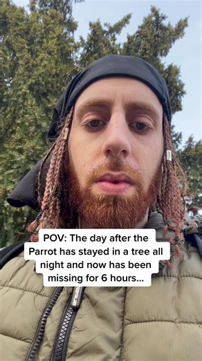 Free flying and its risks - Part 2(Harley The Macaws Story) #fyp #bird #parrot #animals #awareness #freeflight @Lisa- Ann Basson