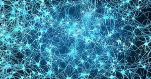 Neuron Network Neuronet Synapse 3d Animation Stock Footage Video (100% Royalty-free) 34988935 | Shutterstock