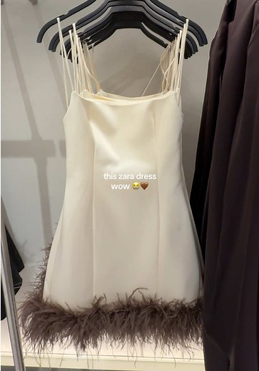 Zara Dress: The Moment You've Been Waiting For